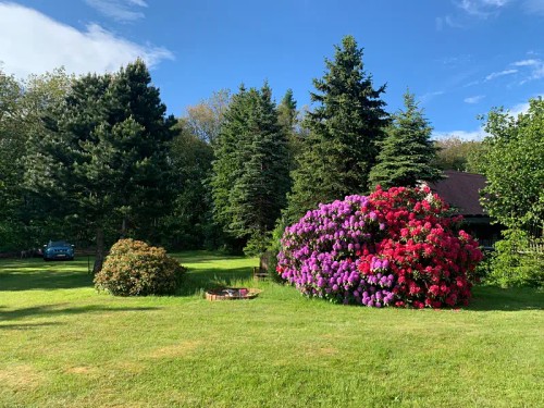 Prodej domu 241 m², pozemek 3119 m²
