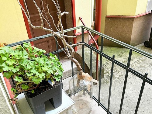 Prodaný byt 2+kk 59 m²