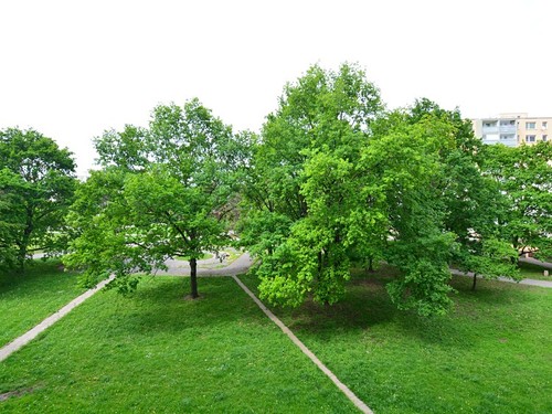 Prodaný byt 3+1 68 m²