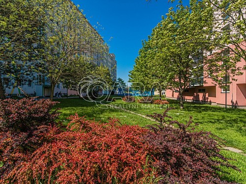 Prodaný byt 1+kk 41 m²