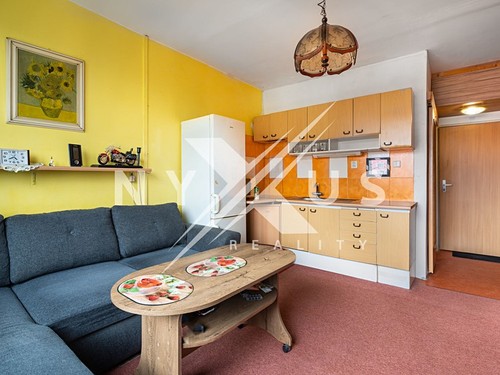 Prodaný byt 1+kk 25 m²