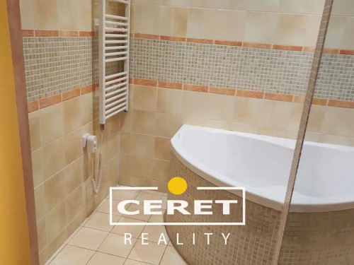 Prodaný  byt 1+1 40 m²