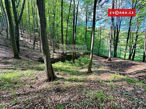 Prodaná chata 30 m², pozemek 6254 m²