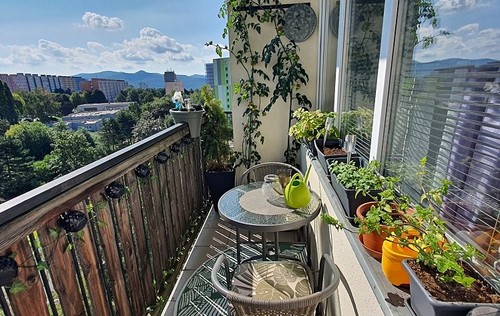 Prodaný byt 3+1 66 m²
