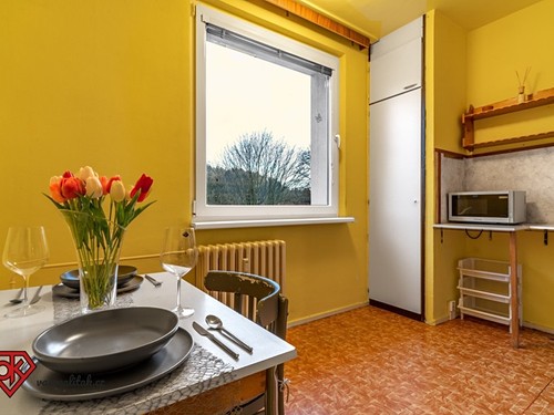 Prodaný byt 1+1 38 m²