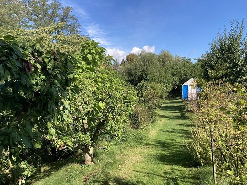 Prodaný dům 110 m², pozemek 658 m²
