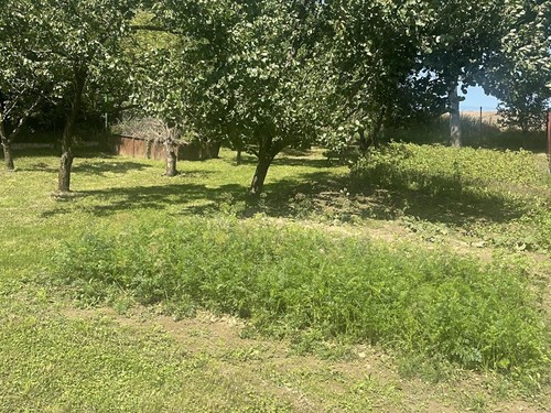 Prodaný dům 120 m², pozemek 809 m²