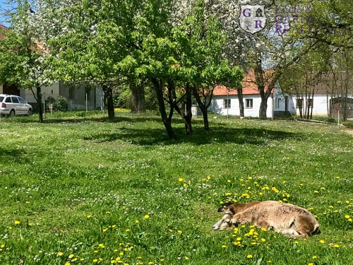 Prodej chalupy 63 m², pozemek 956 m²