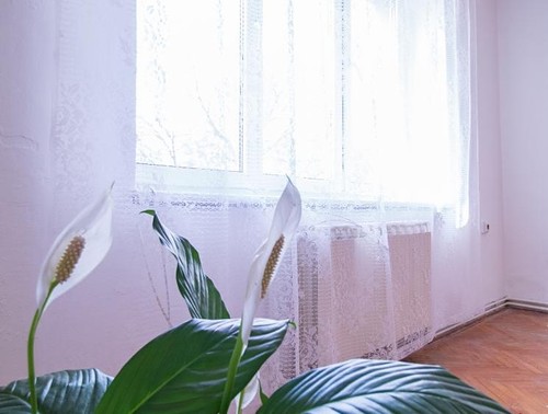 Prodaný byt 2+1 55 m²