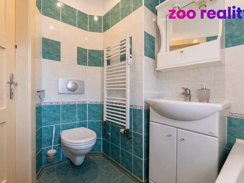 Prodaný byt 1+1 43 m²