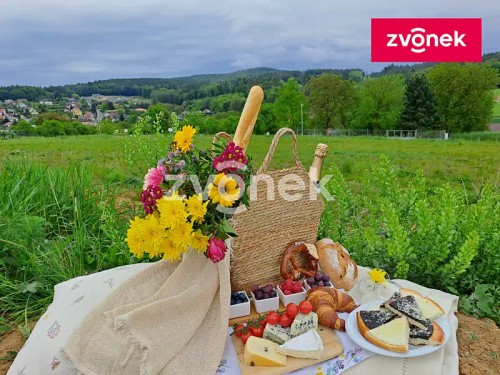Prodej stavebního pozemku 3280 m²