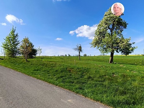 Prodaný dům 142 m², pozemek 1760 m²