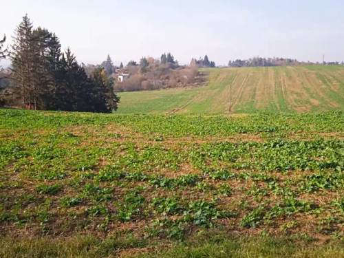 Prodej stavebního pozemku 2423 m²