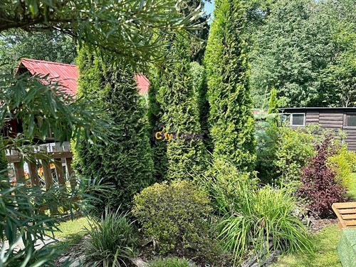 Prodaná chata 62 m², pozemek 230 m²