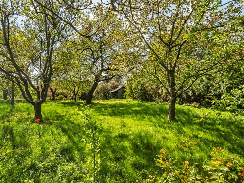 Prodej domu 264 m², pozemek 1000 m²