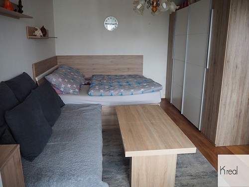 Prodaný byt 1+1 45 m²