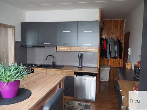 Prodaný byt 1+1 45 m²