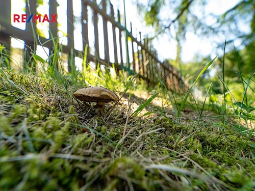 Prodaná chalupa 153 m², pozemek 409 m²