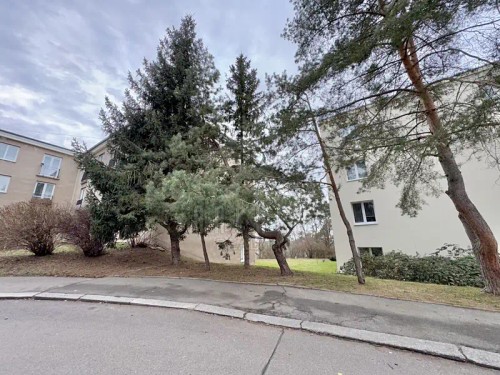 Prodaný  byt 1+kk 40 m²