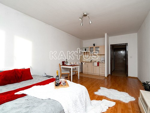 Prodaný byt 1+kk 28 m²