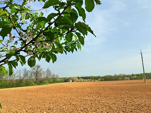 Prodaný byt 3+1 69 m²