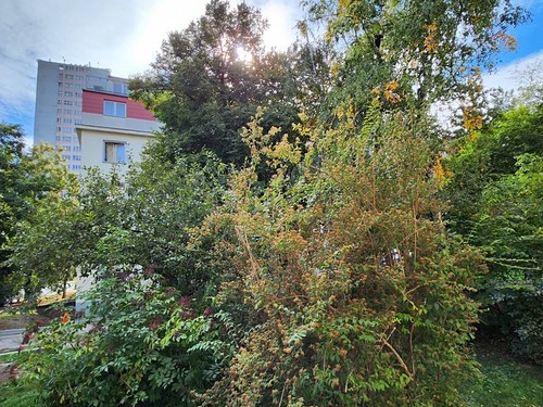Prodaný byt 2+1 54 m²