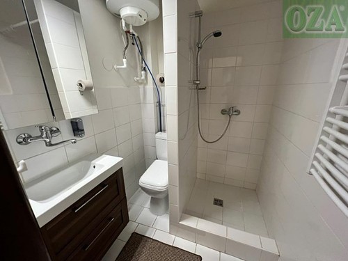 Prodaný byt 2+1 46 m²