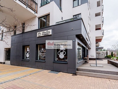 Prodaný byt 1+kk 31 m²