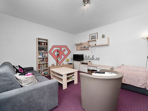 Prodaný byt 1+1 39 m²