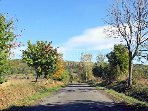 Prodaný dům 95 m², pozemek 671 m²