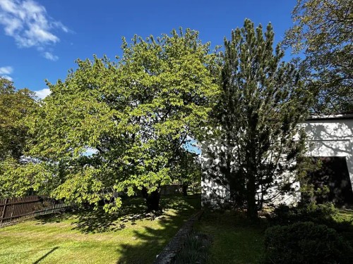 Prodej domu 200 m², pozemek 3821 m²