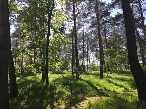 Prodaný byt 3+1 57 m²