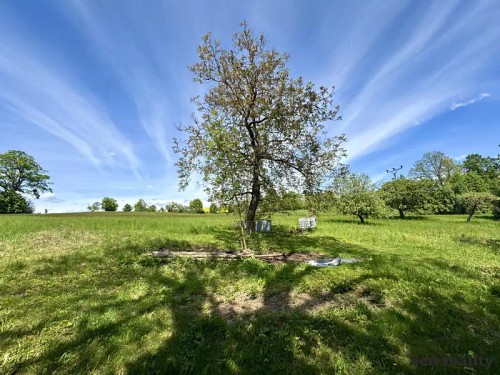 Prodej domu 230 m², pozemek 2755 m²