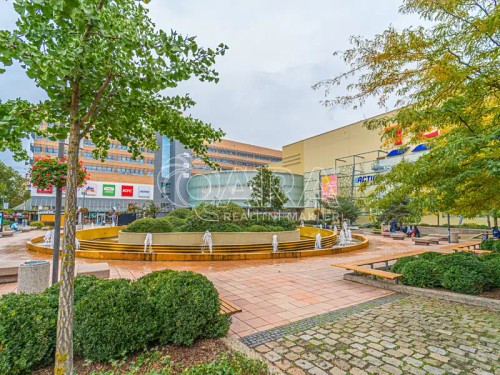 Prodaný byt 2+1 55 m²