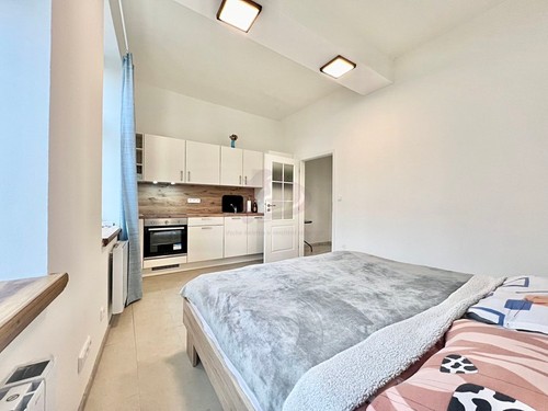 Prodaný byt 1+kk 24 m²