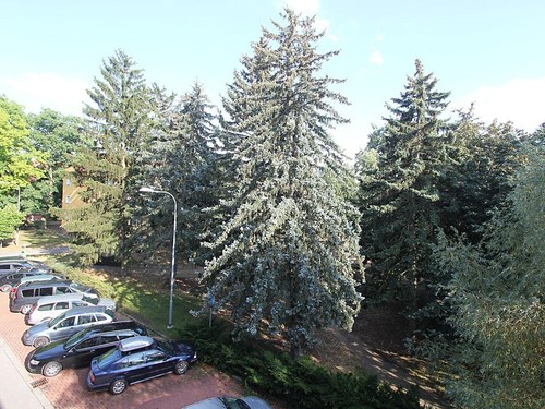 Prodaný byt 2+1 125 m²