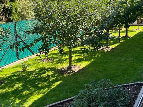 Prodaný dům 279 m², pozemek 981 m²