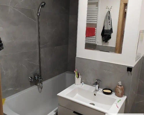 Prodaný byt 1+1 41 m²
