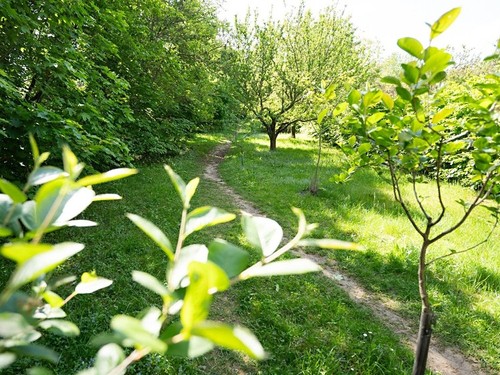 Prodaný byt 2+1 54 m²