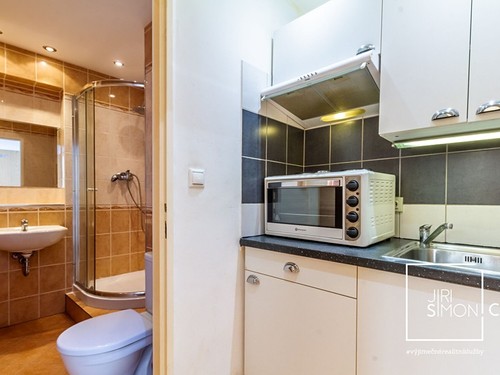 Prodaný byt 1+kk 22 m²