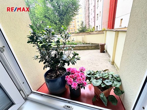 Prodaný byt 2+kk 59 m²