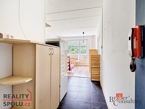 Prodaný byt 1+1 49 m²