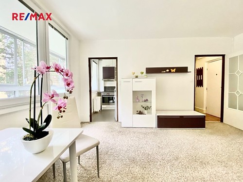 Prodaný byt 1+kk 28 m²