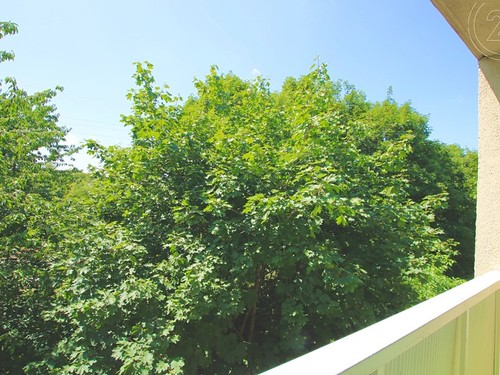 Prodaný byt 1+kk 20 m²