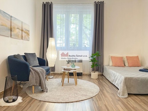 Prodaný byt 1+kk 30 m²