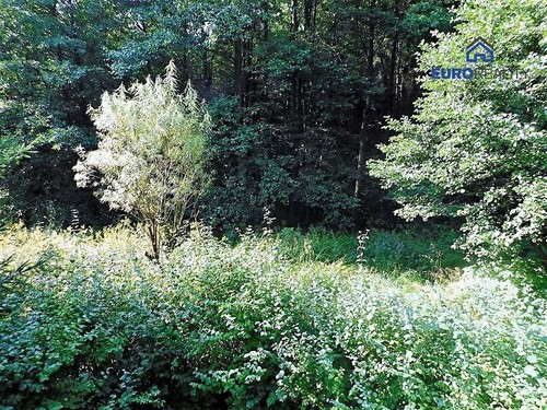 Prodaná chalupa 46 m², pozemek 479 m²