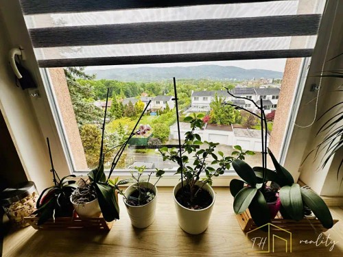 Prodej bytu 4+1 87 m²