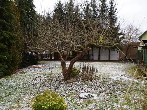 Prodaný dům 62 m², pozemek 874 m²