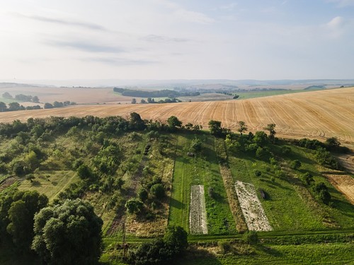 Prodaný dům 250 m², pozemek 343 m²