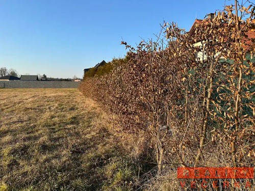Prodej stavebního pozemku 1438 m²